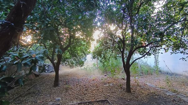 Aydın Nazilli Karaçay Mahallesinde Satılık Mustakil Ev