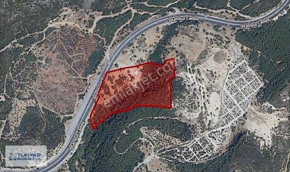 Erzene Mah Yola Cepheli Satlık Tarla