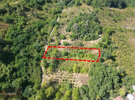 Sapanca Akçayda 88 Fındık Ağacı İle Yatırım Fırsatı!