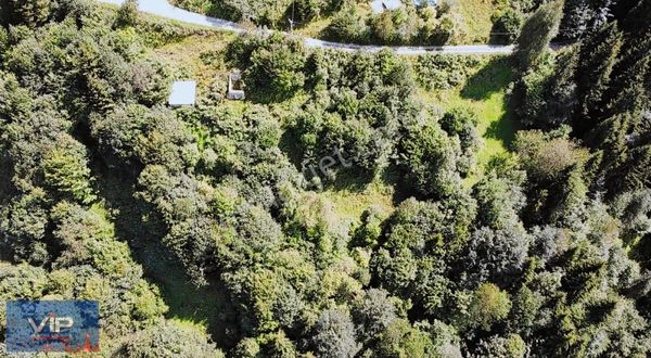 Vip Real Estate Hamsiköy'de 1.992m2 Satılık Arsa