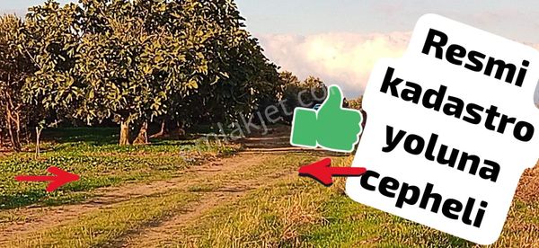 Yalıçiftlik Resmi Kadastro Yoluna Cepheli