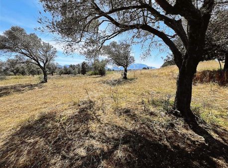 Startkey Pelit Kızlanaltı Bölgesinde Yatırımlık Tarla