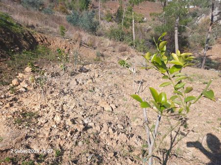 2825 M2 Tırılarda Yerimiz Satılıktır