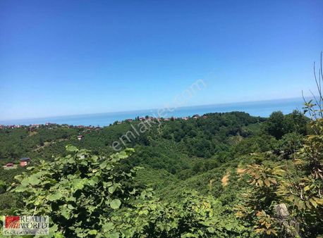 Karşıyaka Mahallesinde Acil Satılık Arsa