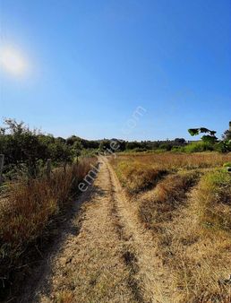 Kandıra Yağcılarda 2 Adet Bahçe 1 Adet Tarla Ağva Sahile 10 Km