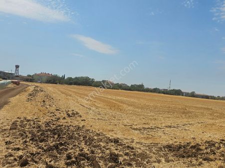 Arsa Almayı Beklemeyin, Alın Bekleyin(videolu)