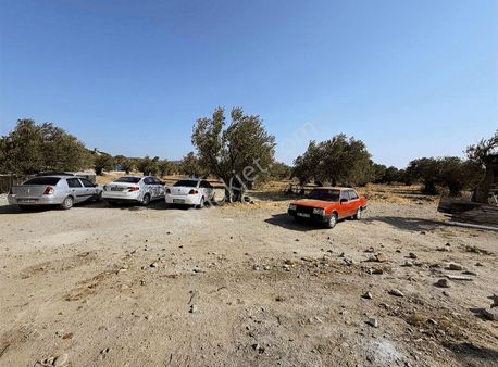 Gaziosmanpaşa Çarşamba Pazarın Da 3+1 Daire