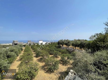 Ayaş'ta Satılık 4.546m2 Villalık Arsa !!