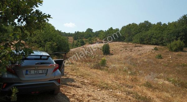 İnegöl Çiftli'de Satılık Boş Tarla Bahçe