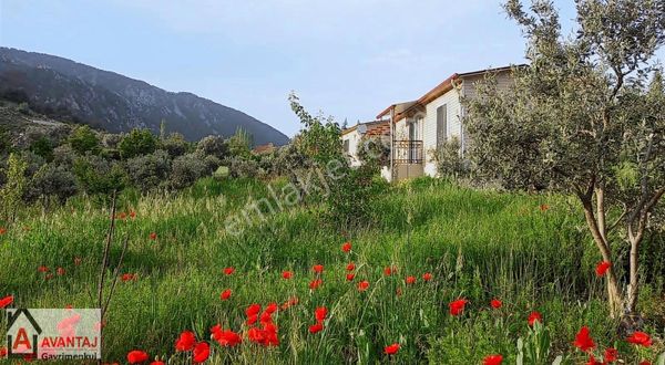 Yaka Mahallesi 2686 M2 Köy İçi Yola Cephe