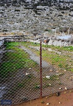 Egeden Emlak Marmaris Taşlıca Köye 700 M. Mesafede Satılık Tarla