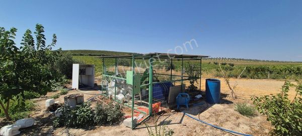 Salihli Durasılı Mahlesinde Satılık 146 Dönüm Bağ