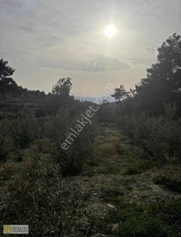 Seydikemer Arsaköyünde Çok Uygun Yatırımlık Arsa