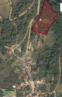 Esen-ce'den, İzmit Zeytinburnu Mah. 7668n2