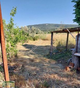 Esen-ce'den, İzmir Menderes Çakaltepe Köyü, 2900m2 Satılık Tarla