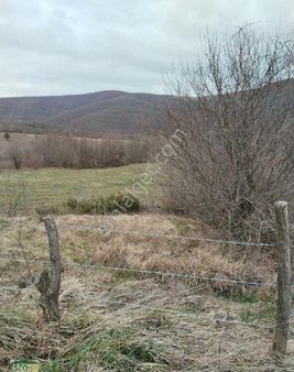 Esen-ce'den İzmit Arpalık/ihsaniye 'de 8300 M2 Satılık Tarla