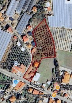 Kargı Merkezde Toplam 5355m2 3 Bağımsız Bölüm Olan Tarla