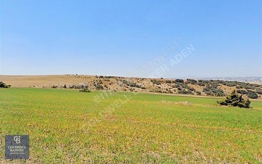 Şehitali Mh'de/toki Yapılaşma Alanında/yatırım Fırsatı/7363 Mt2