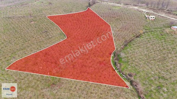 Karşı Mahallede 13456 M2 Yola Cepheli Deniz Manzaralı Fındıklık
