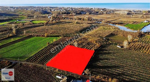 Kocaali Melen Köyünde 5205 M2 Satılık Fırsat Tarla