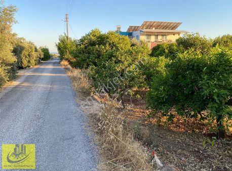 Deniz Manzaralı Tömükte Yol Cepheli Arsa