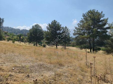 Pozantı Kar Emlaktan Eski Konacıkta 500 M2 Arsa