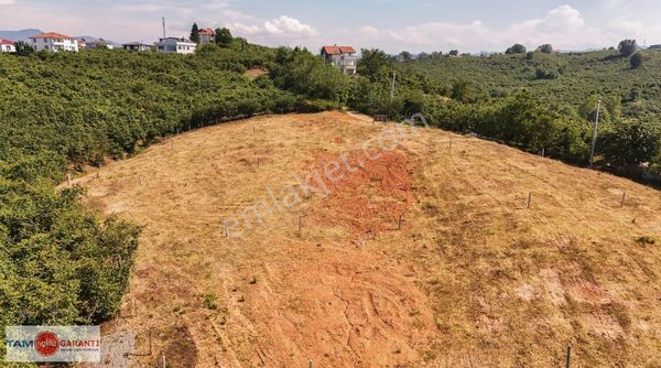Kadıköy De Deniz Ve Doğa Manzaralı Müstakil Parseller