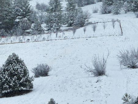 Pozantı Kar Emlaktan Alpu Yaylasında 400 M2 Arsa