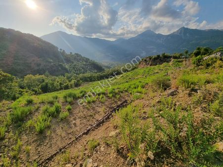 Uygun Fiyat Fırsat Suyungözünde Hafriyatsız Tarla!!