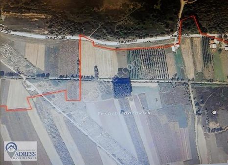 Adressten Sakarya Söğütlüde 3.155m2 Satılık Tarla
