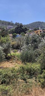 Köye Yakın Hobi Bahçesi