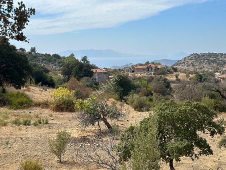 Joker: Marmaris Söğüt Deniz Manzaralı Elektrik Hattı Alınmış Satılık Tarla