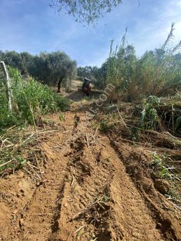 Ödemiş Yusufdere Satılık Bahçe