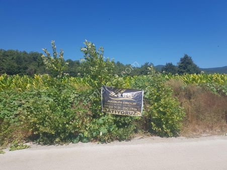 Kazdağları Hıdırlar Anayola Sıfır Arsa Vasfında