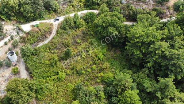 Alanya Gözüküçüklü Mahallesinde Satılık Deniz Manzaralı Tarla