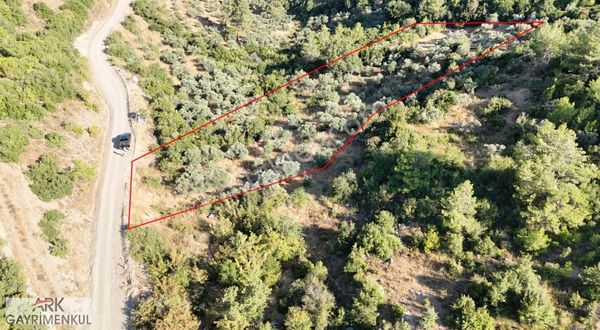 Muğla Menteşe Akkaya Mh Satılık 2.500 M2 Tarla