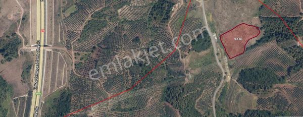 Bursa Osmangazi Selçukgazi Mahallesinde Geniş Satılık Tarla