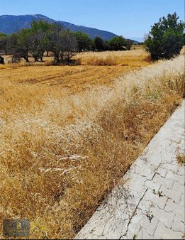 Emsalsiz Fiyata Emsallerinden Çok Uyguna