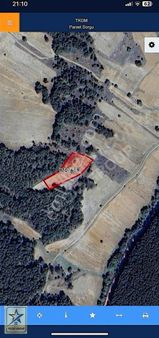 Yıldız Group - Aslanapa Çamdibi Ve Örenköyde Fırsat Araziler