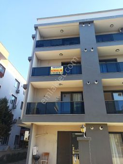 Seyrek 'te Kiralık 2+1 Ara Kat D.gazlı