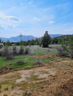 Tuzaklı Köyü Sera Bölgesi Yol Su Mevcut/yan Parsellerle Genişler