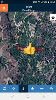 Antalya Kumluca Karacaörende Satılık Nar Bahçesi