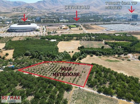 Bulgurlu'da Stadyum Arkasında Remax Güneş'ten 9 Dönüm Bahçe