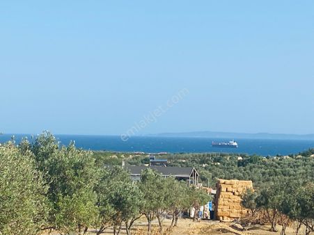 Dmr Yapıdan Şarköy Devlet Hastane Yakınında Zeytinlik, Tarla , Arsa