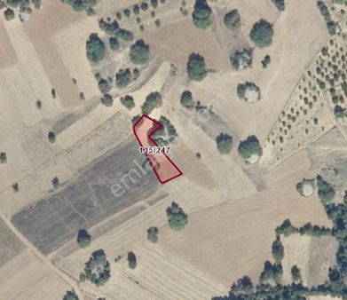 Fırsat! Keles Karaardıç Mahallesinde 833 M² Yatırımlık Tarla – Cbfocus Garantisiyle