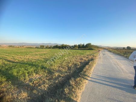 Akar Emlak Tan Satılık Kupon Tarla