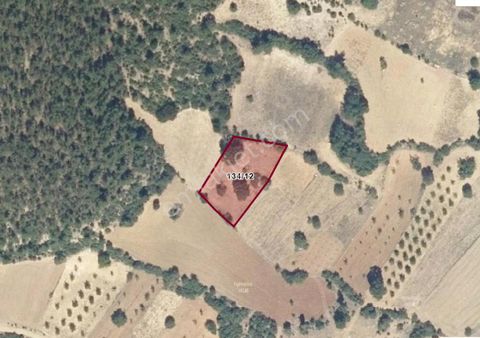 Fırsat! Keles Karaardıç Mahallesinde 2100 M² Yatırımlık Tarla – Cbfocus Garantisiyle