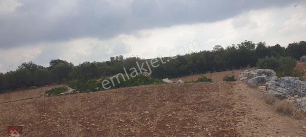 Satılık – Hüseyinler Mahallesi’nde 2 Tapulu, Toplam 7.260 M² Tarla