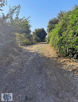 Vıp Gayrımenkul'den Tütüncülerde Satılık 563m Tarla