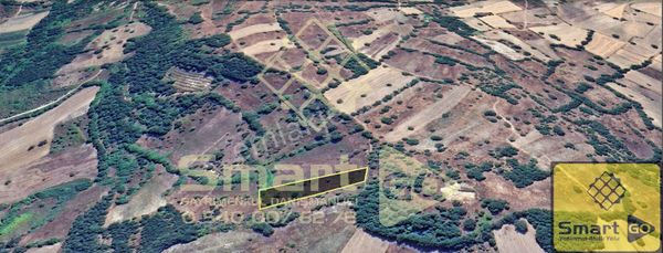 Dursunbey'de 2.699 M² Satılık Tarla